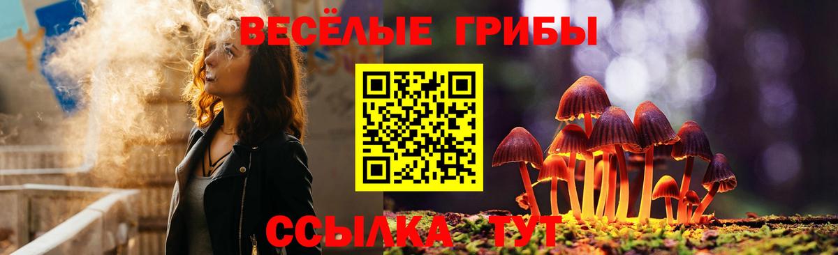 Тулун  купить  сайты  Вход с VPN  Псилоцибиновые грибы ЛСД 
